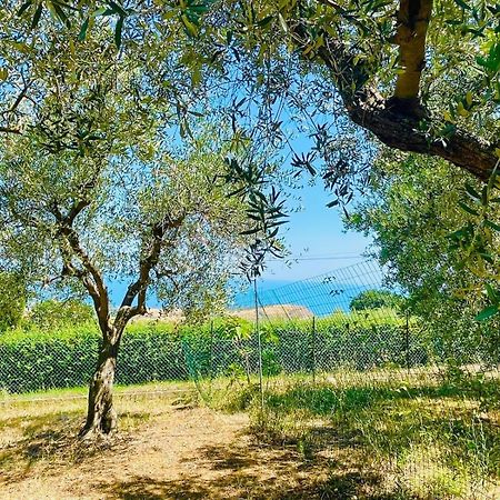 Villa In Collina Vista Mare Roseto Degli Abruzzi Dış mekan fotoğraf