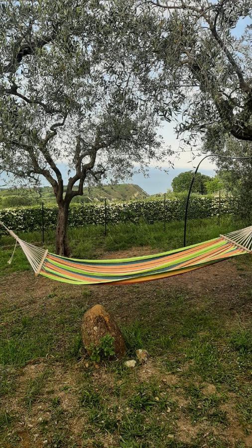 Villa In Collina Vista Mare Roseto Degli Abruzzi Dış mekan fotoğraf