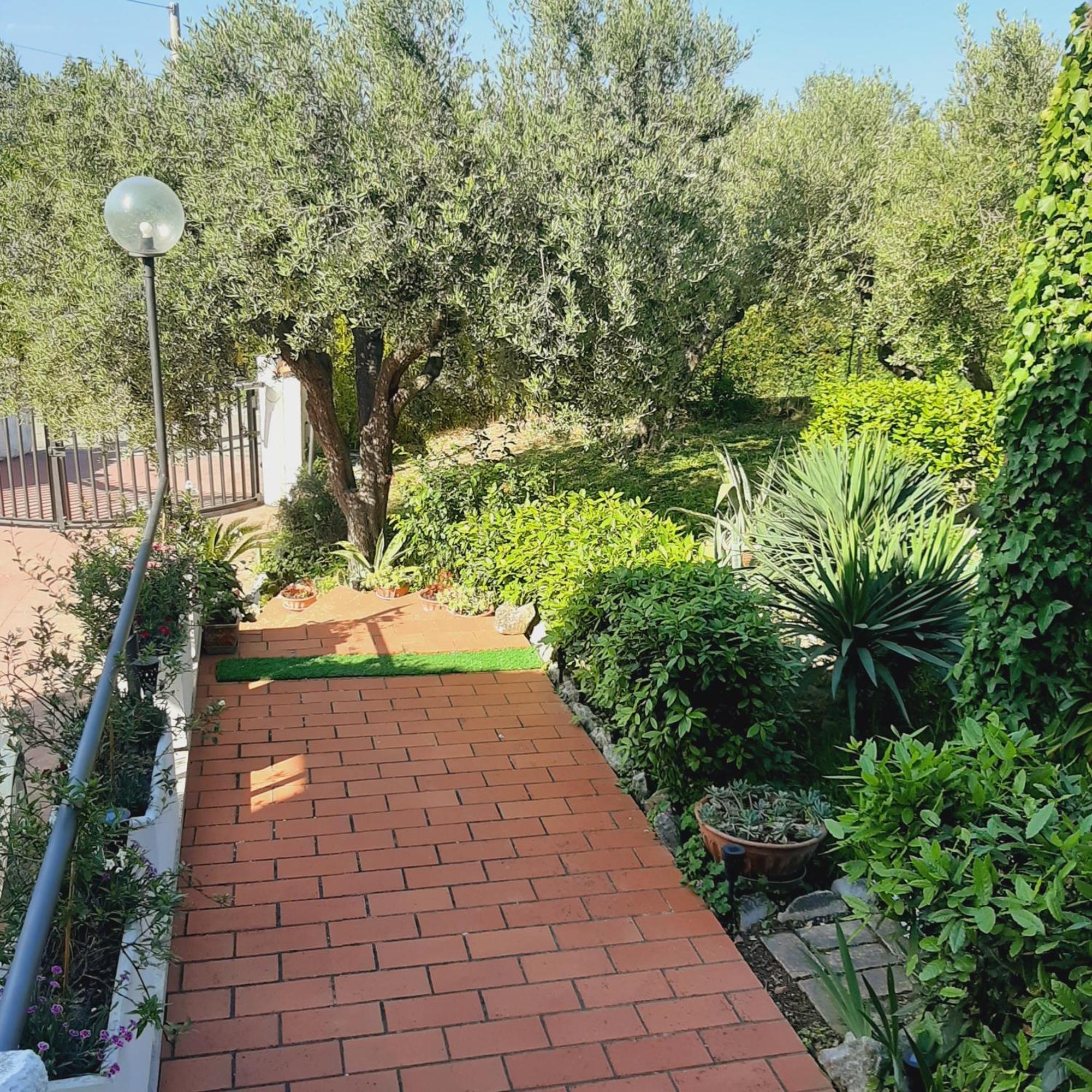 Villa In Collina Vista Mare Roseto Degli Abruzzi Dış mekan fotoğraf