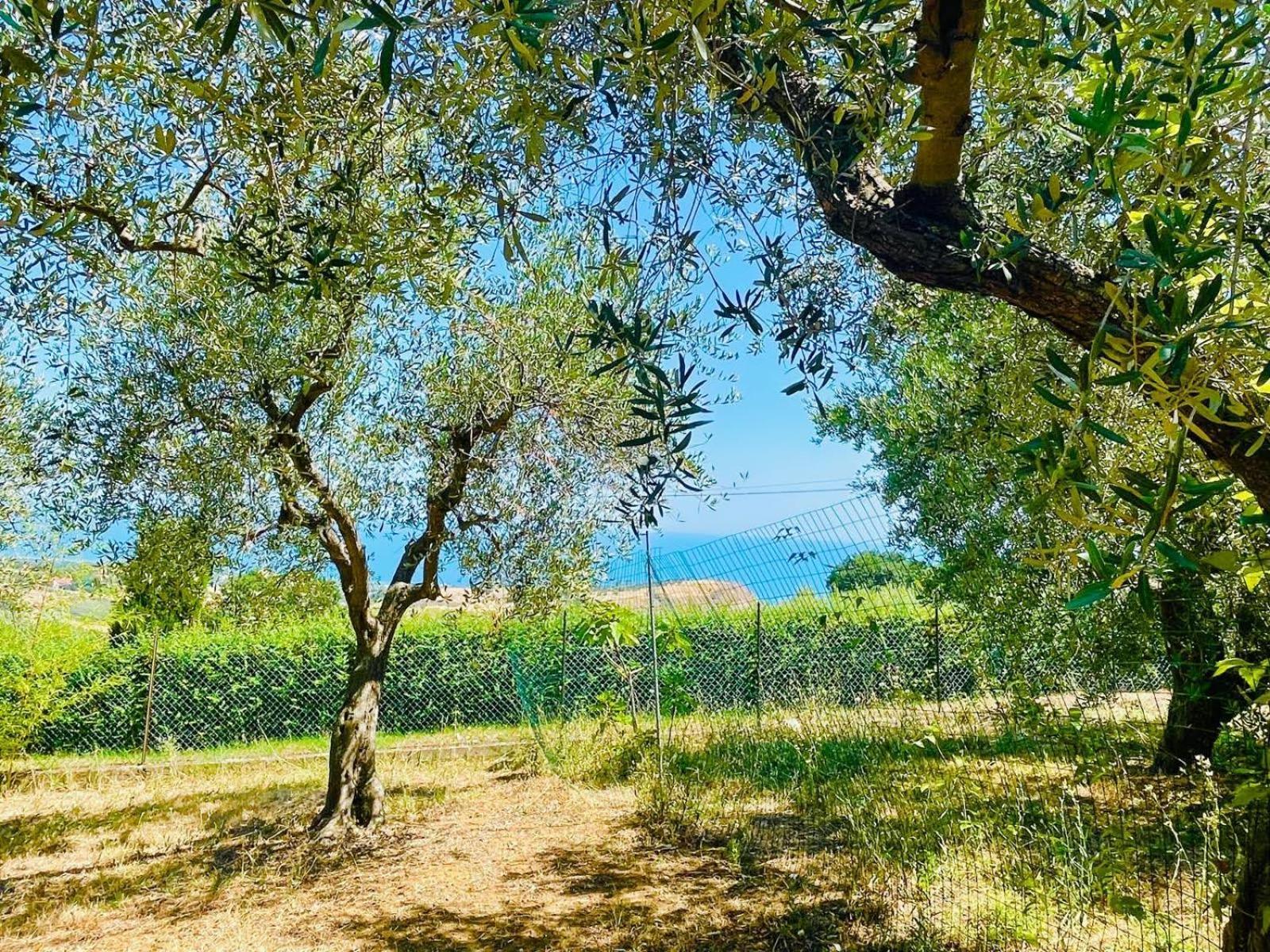 Villa In Collina Vista Mare Roseto Degli Abruzzi Dış mekan fotoğraf