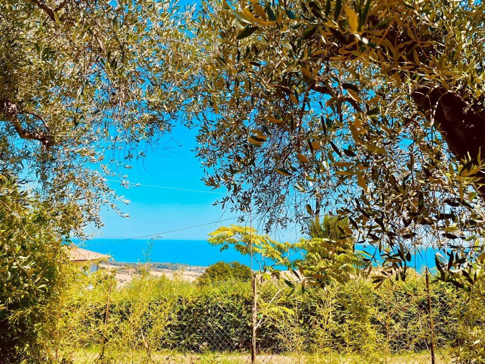 Villa In Collina Vista Mare Roseto Degli Abruzzi Dış mekan fotoğraf